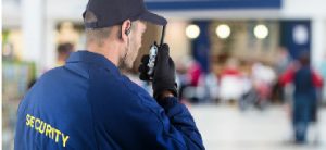 Bright Sky Education Security Services