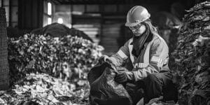 Bright Sky sorting center worker temporary